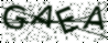 驗證碼