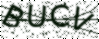 驗證碼