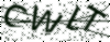 驗證碼