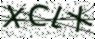 驗證碼