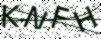 驗證碼